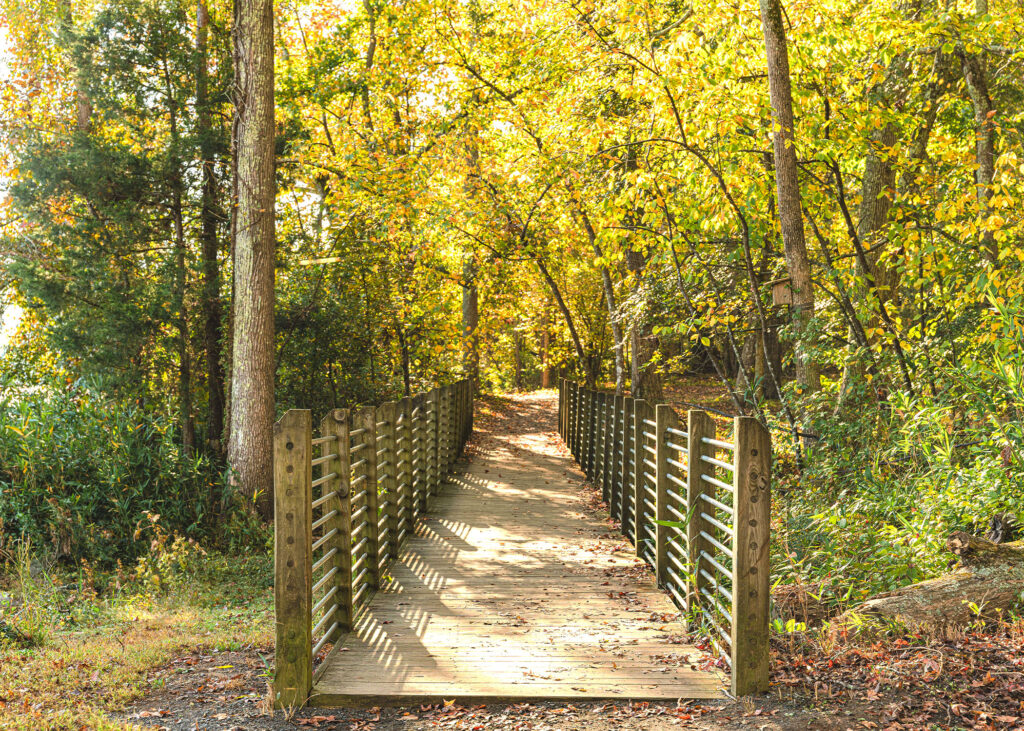 5 Stunning Paths to Explore: Landsford Canal State Park
