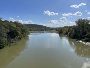 Broad River - scenic view of trees and water